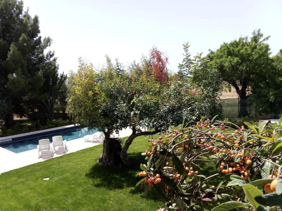 فيلا Zacchitella Garden House روسوليني المظهر الخارجي الصورة